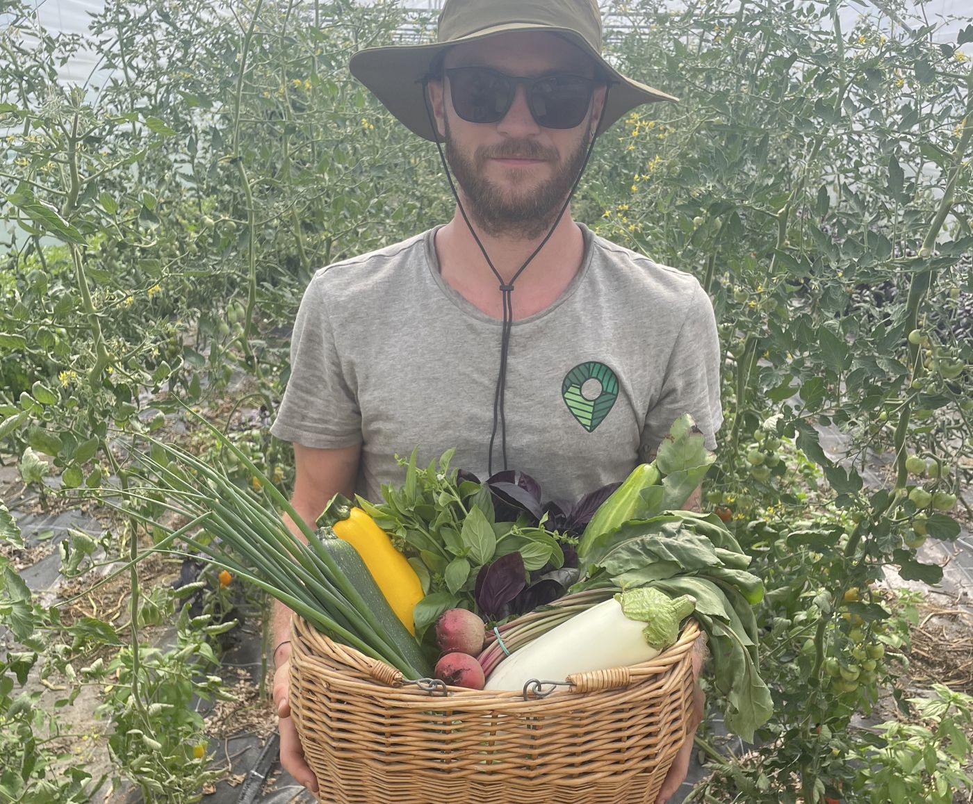 Un maraîcher tient un panier de légumes tout juste récoltés, dans la serre